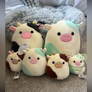 Cow Squishmallows Lot-6 🐮